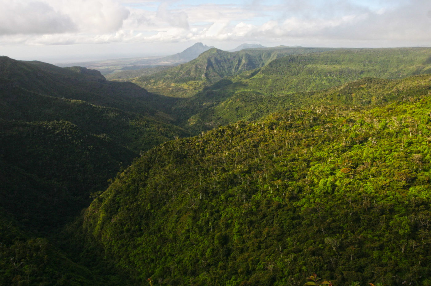 Entroterra di Mauritius