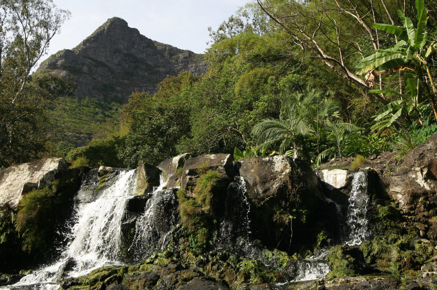 Entroterra di Mauritius
