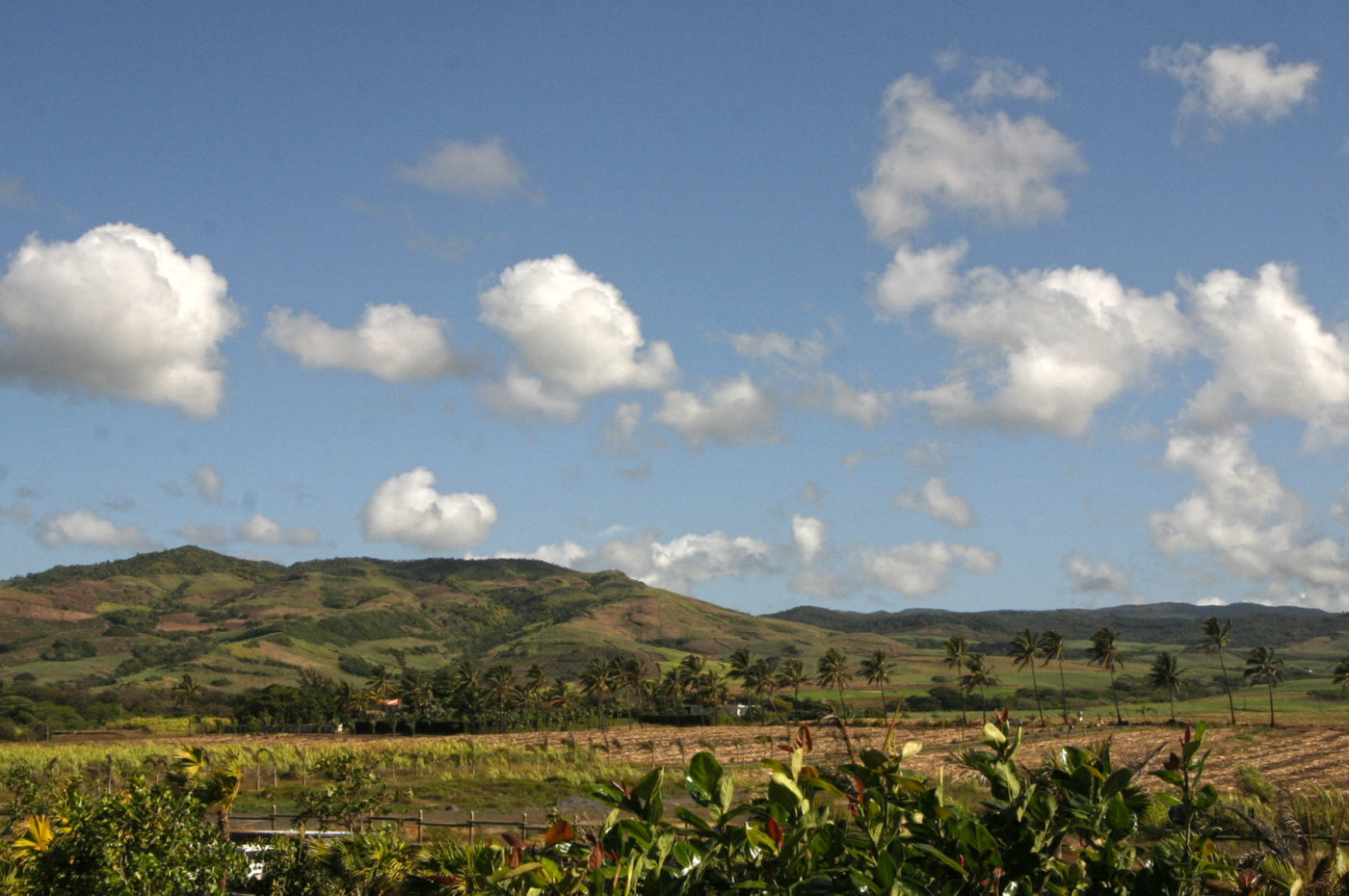 Entroterra di Mauritius
