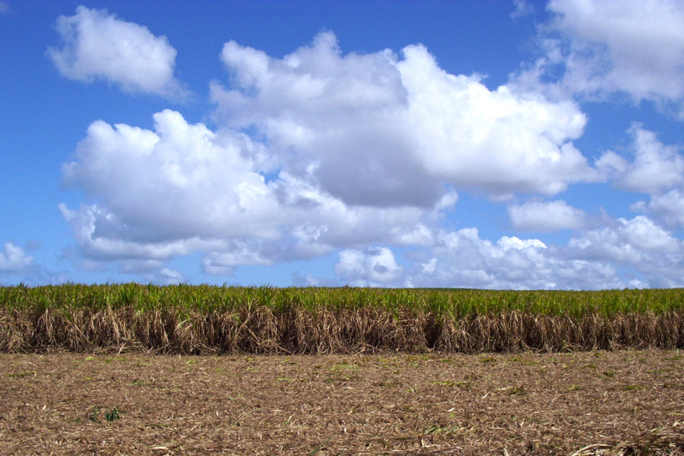 Mauritius