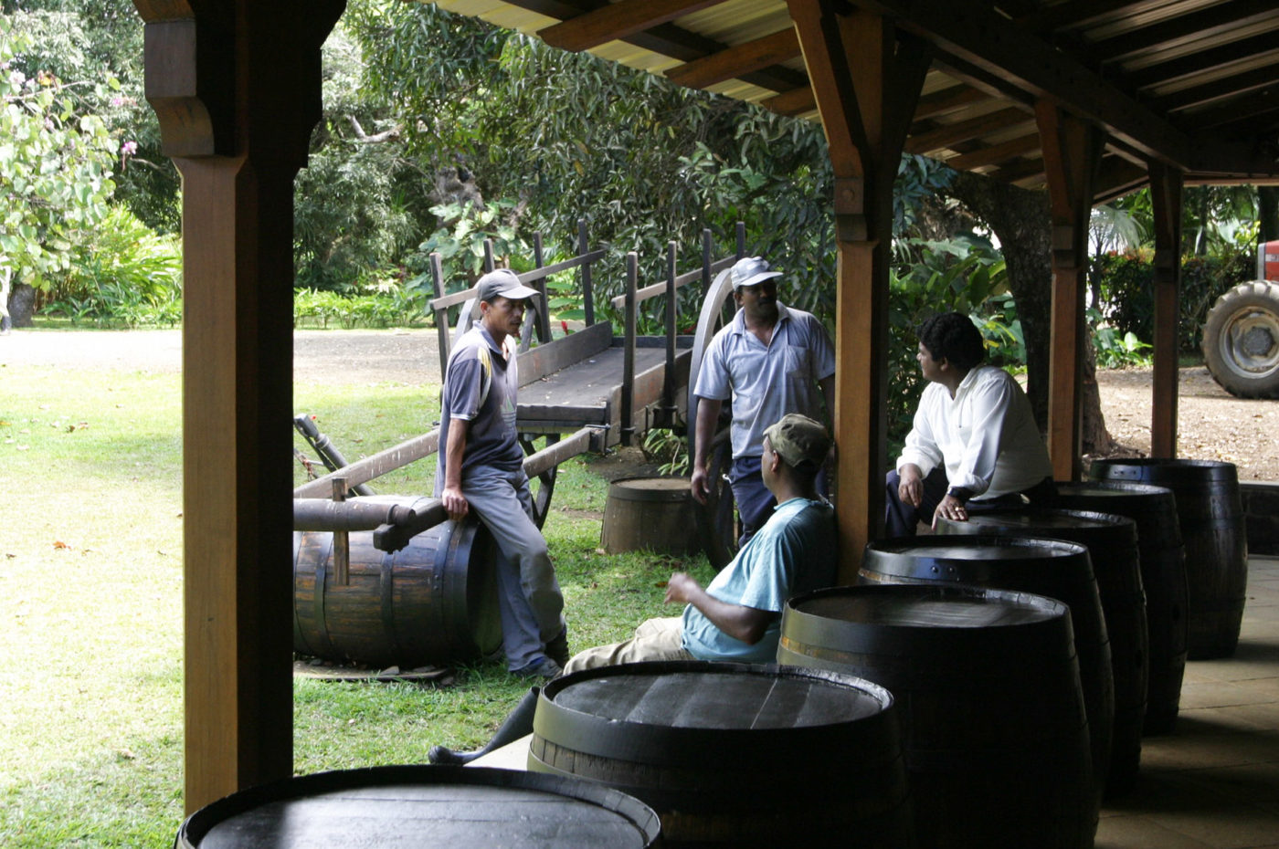 Distillerie di Rum a Mauritius