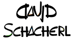 David Schacherl – Web Design e Blog di Viaggi Logo