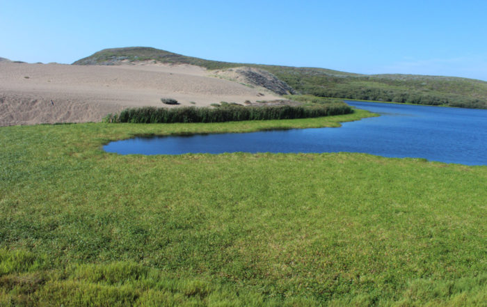 Abbotts Lagoon California