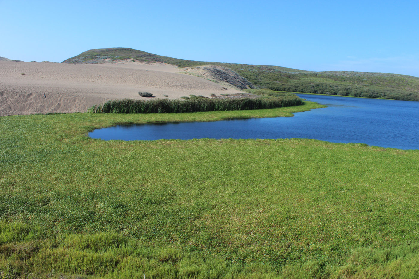 Abbotts Lagoon California