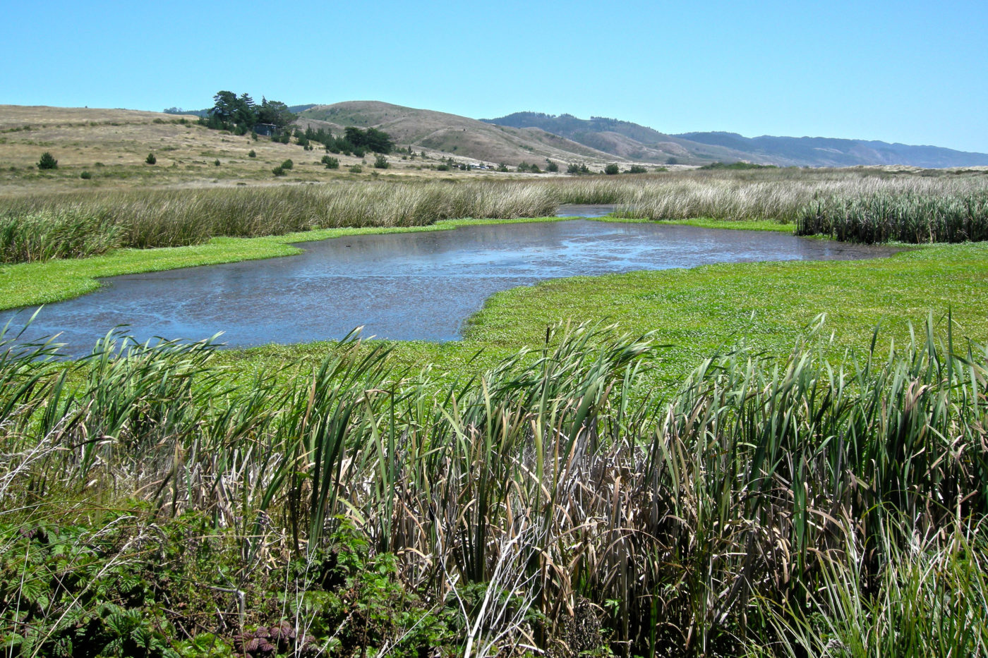 Abbotts Lagoon California