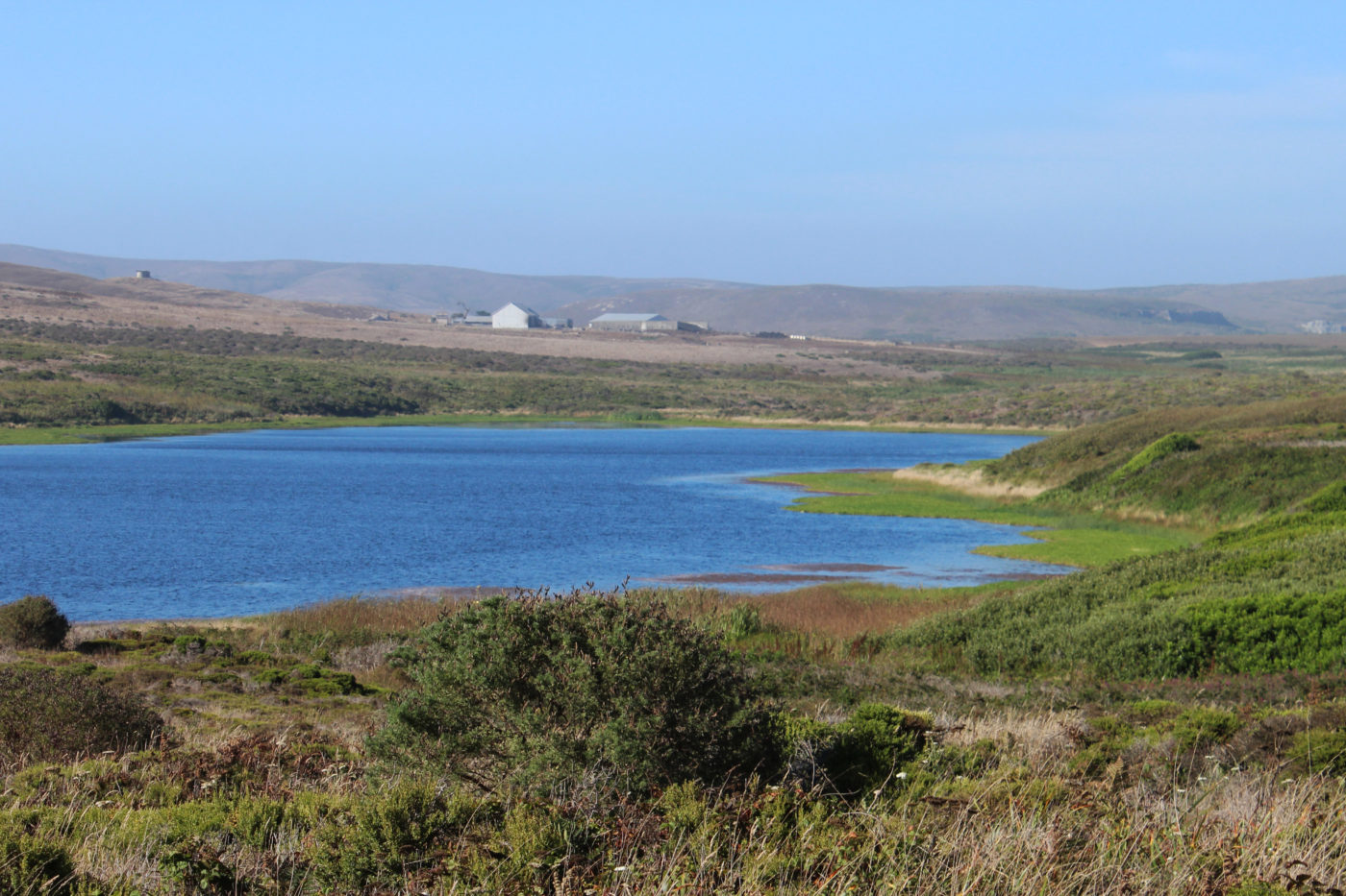 Abbotts Lagoon California