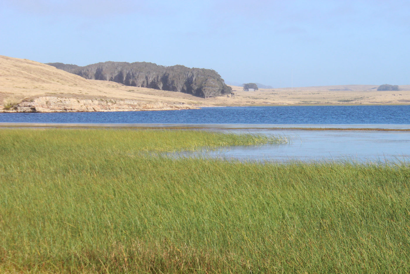 Abbotts Lagoon California