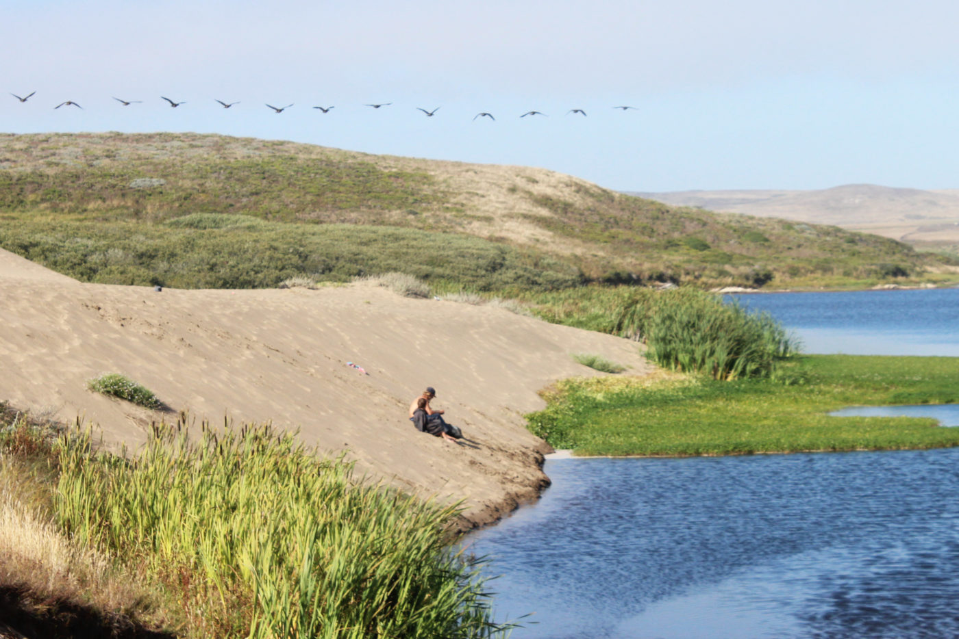 Abbotts Lagoon California