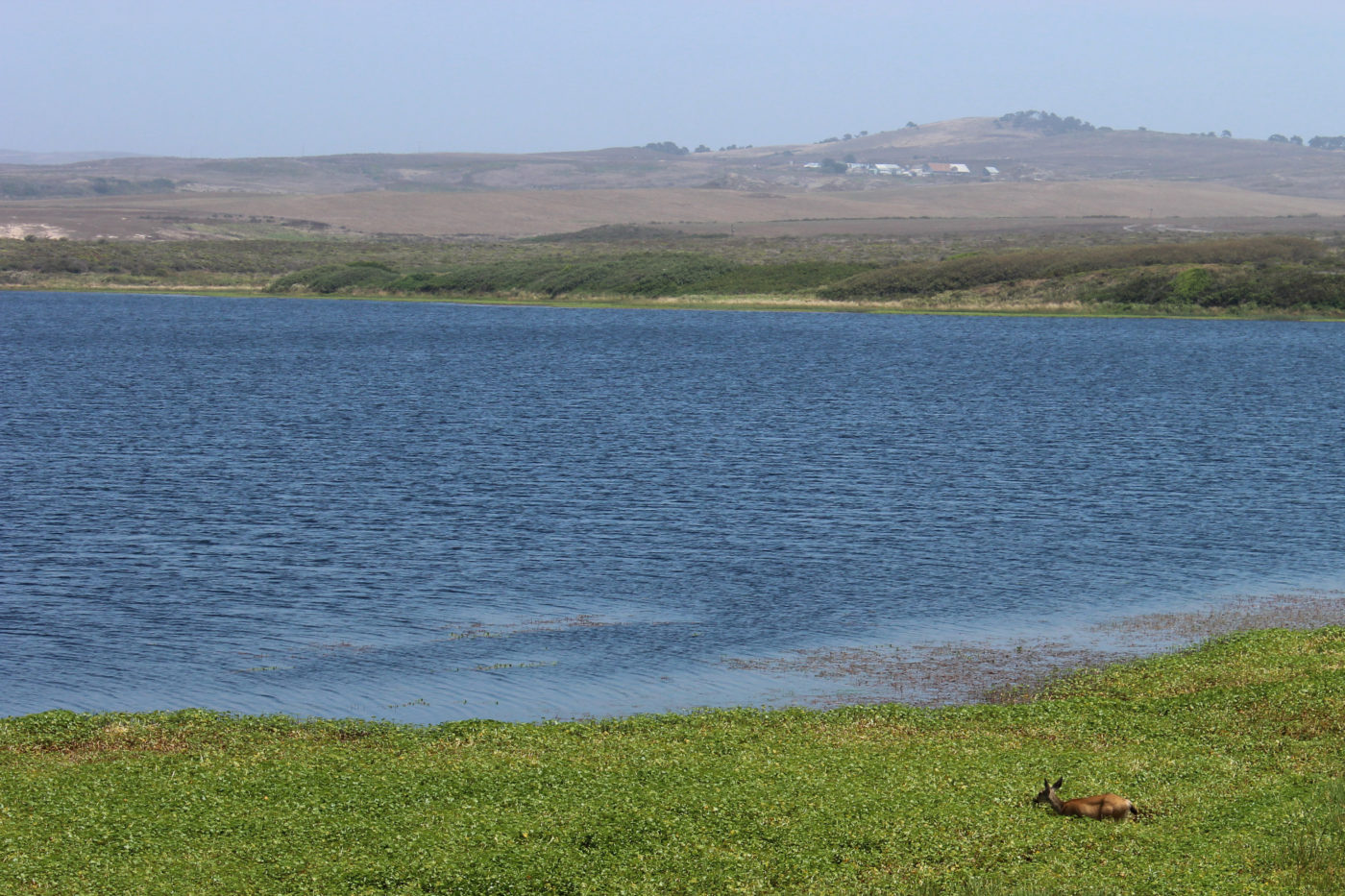 Abbotts Lagoon California