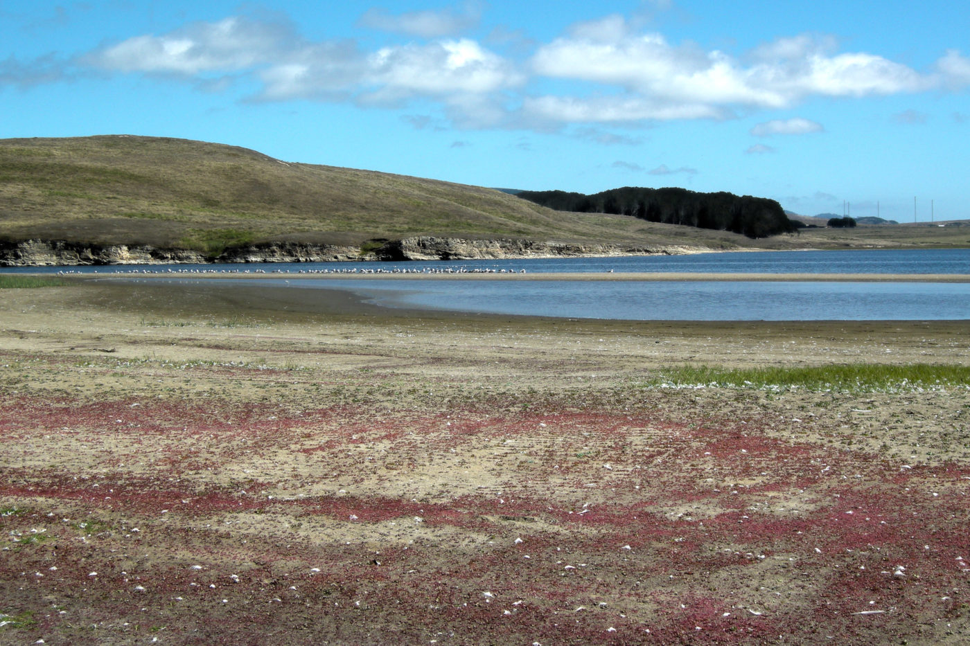 Abbotts Lagoon California