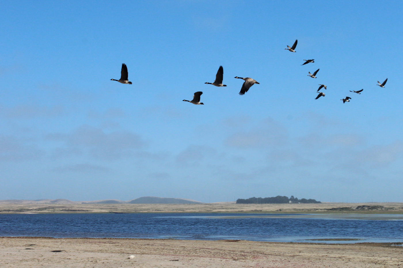 Abbotts Lagoon California