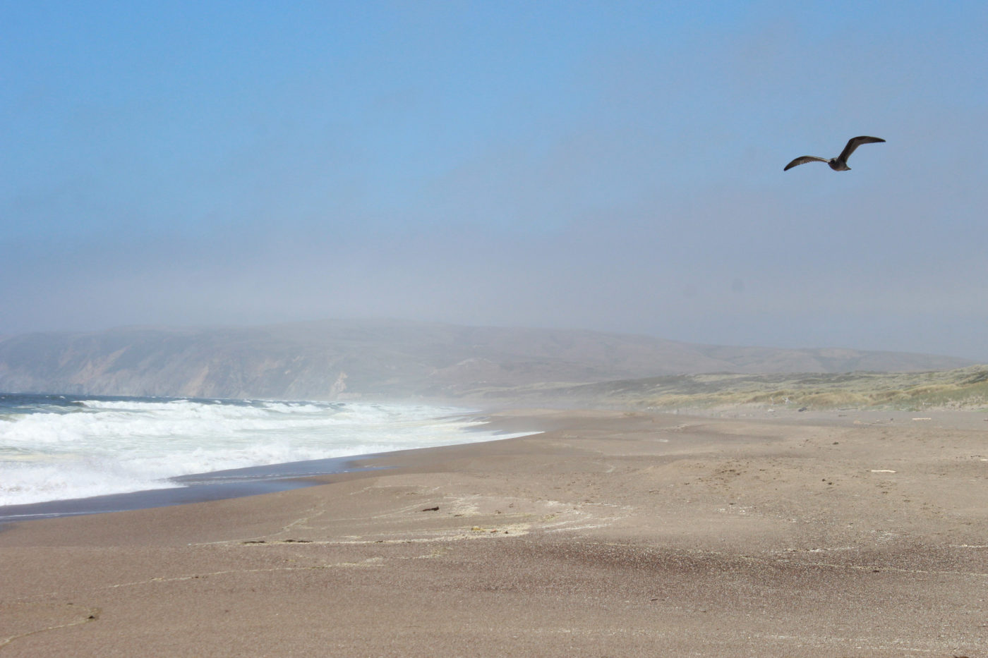 Abbotts Lagoon California