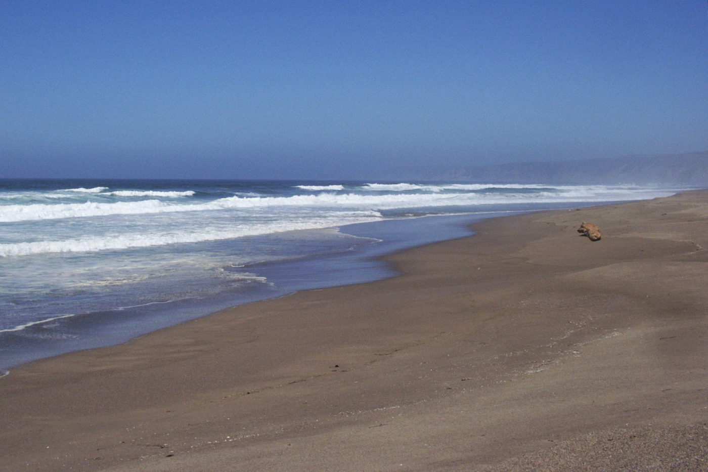 Abbotts Lagoon California