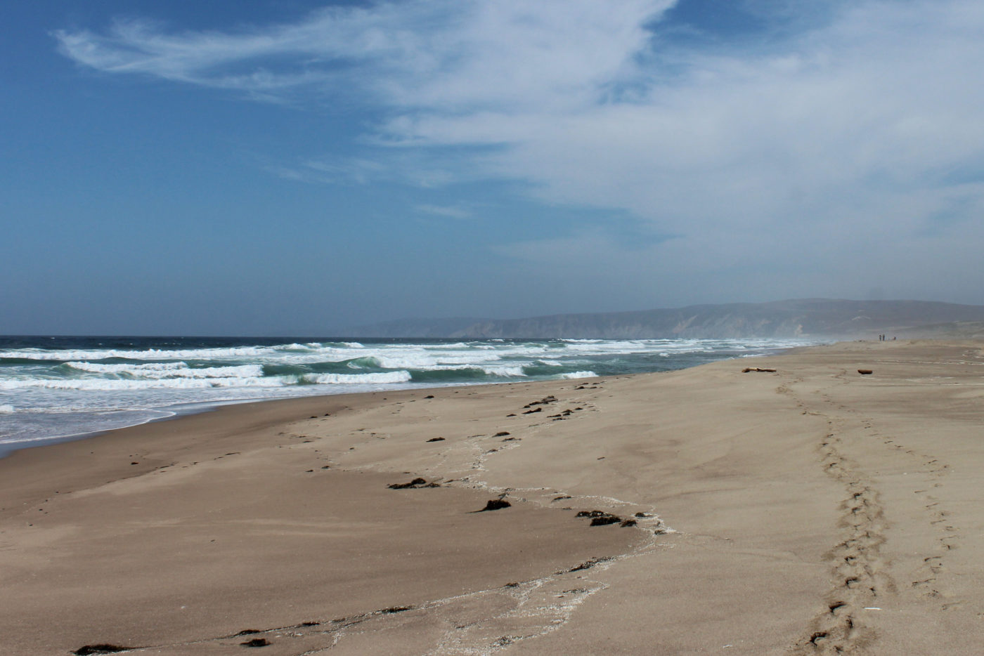 Abbotts Lagoon California