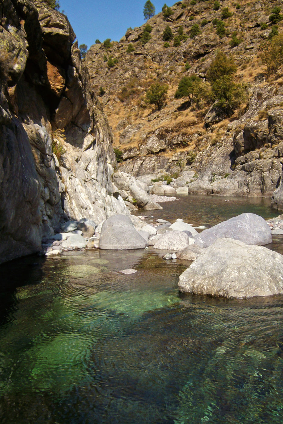 Corsica Fiume Asco