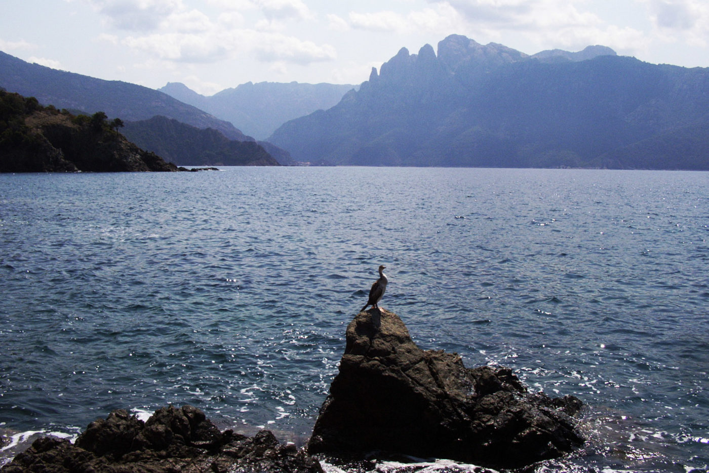 Corsica Golfo di Porto