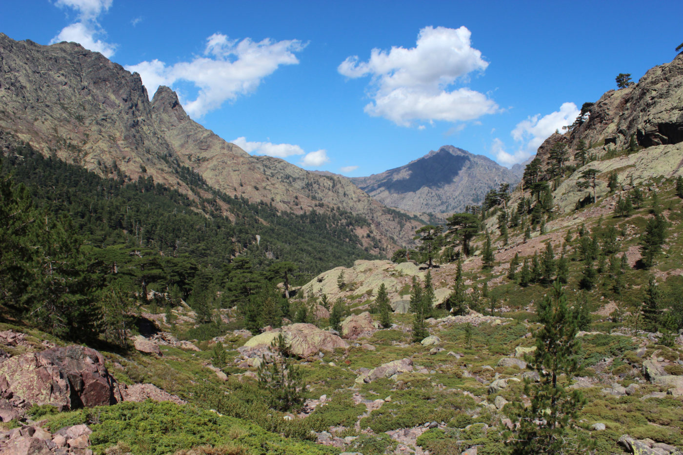 Corsica Monte Cinto