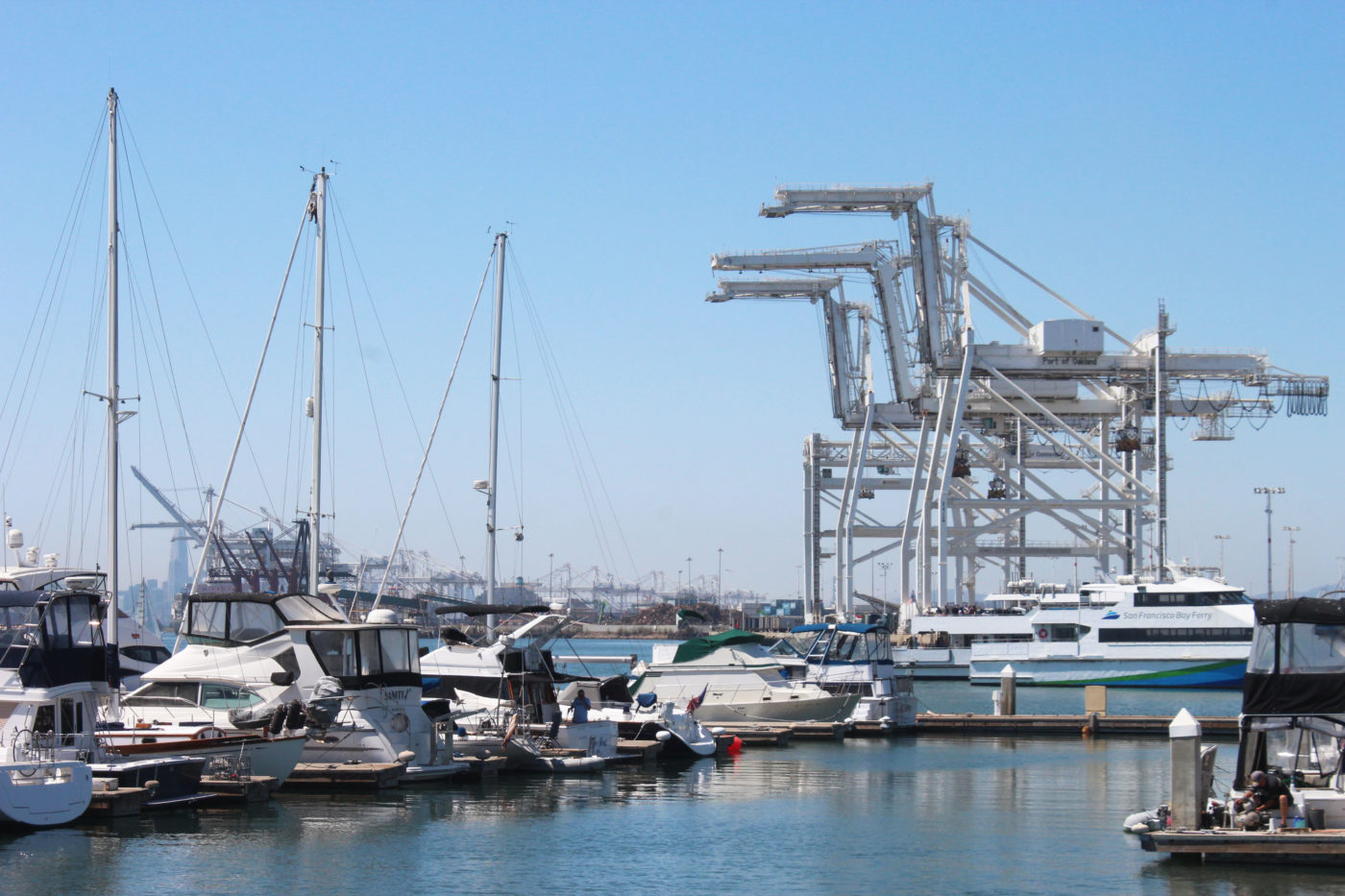 Cranes Oakland California