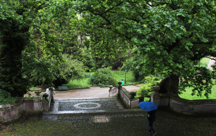 Orto Botanico di Roma