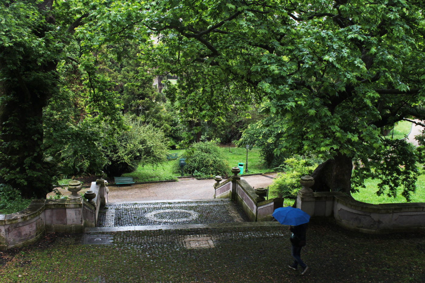 Orto Botanico di Roma