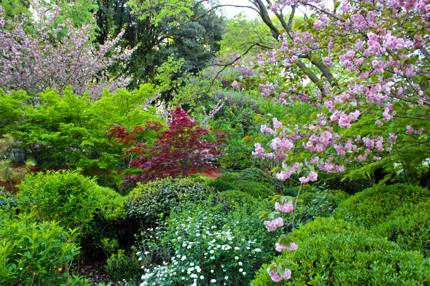 Orto Botanico di Roma