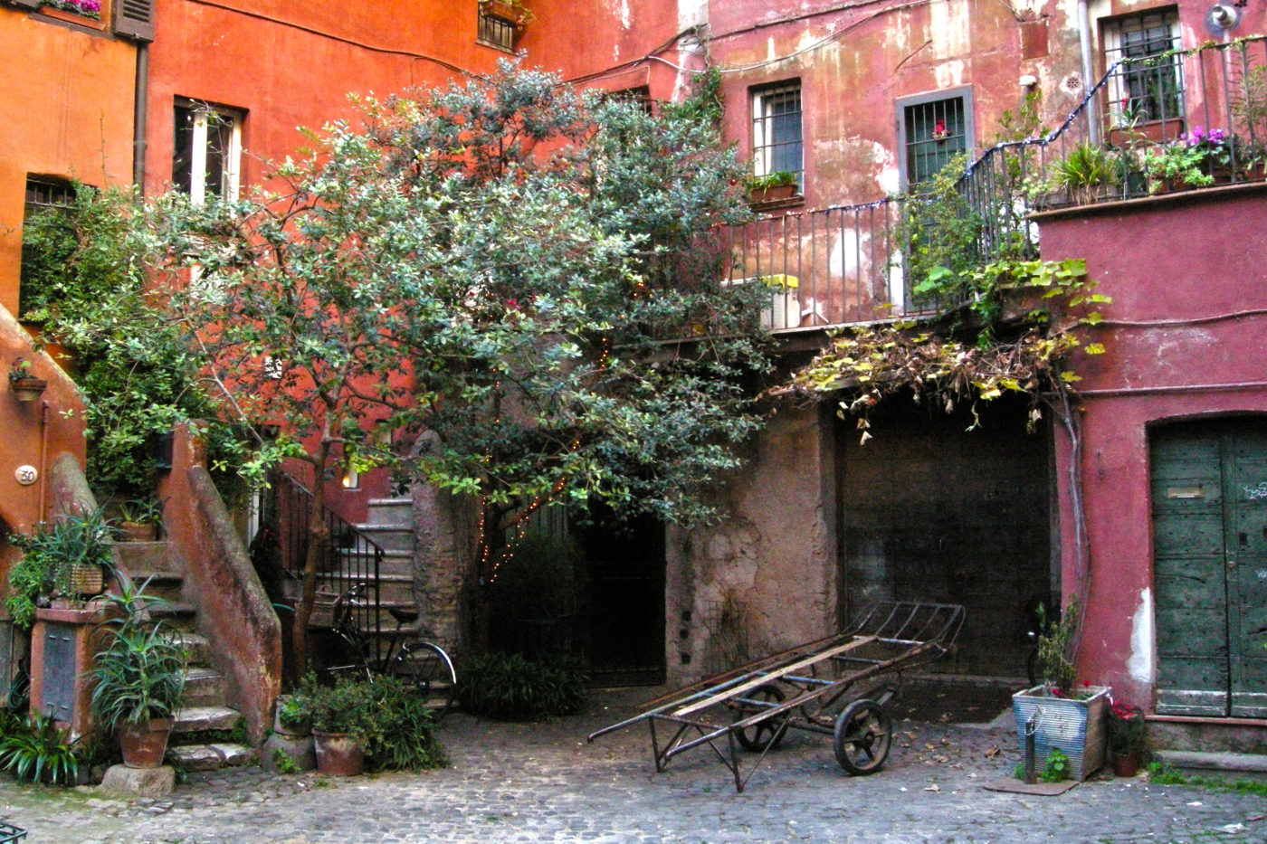 Roma piazzetta dei gatti campo de fiori