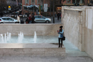 Roma Museo dell'Ara Pacis fontana