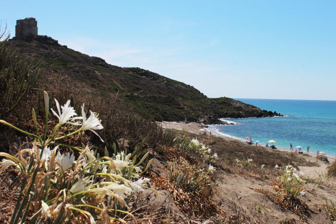 Sardegna Da Alghero ad Oristano San Giovanni di Sinis