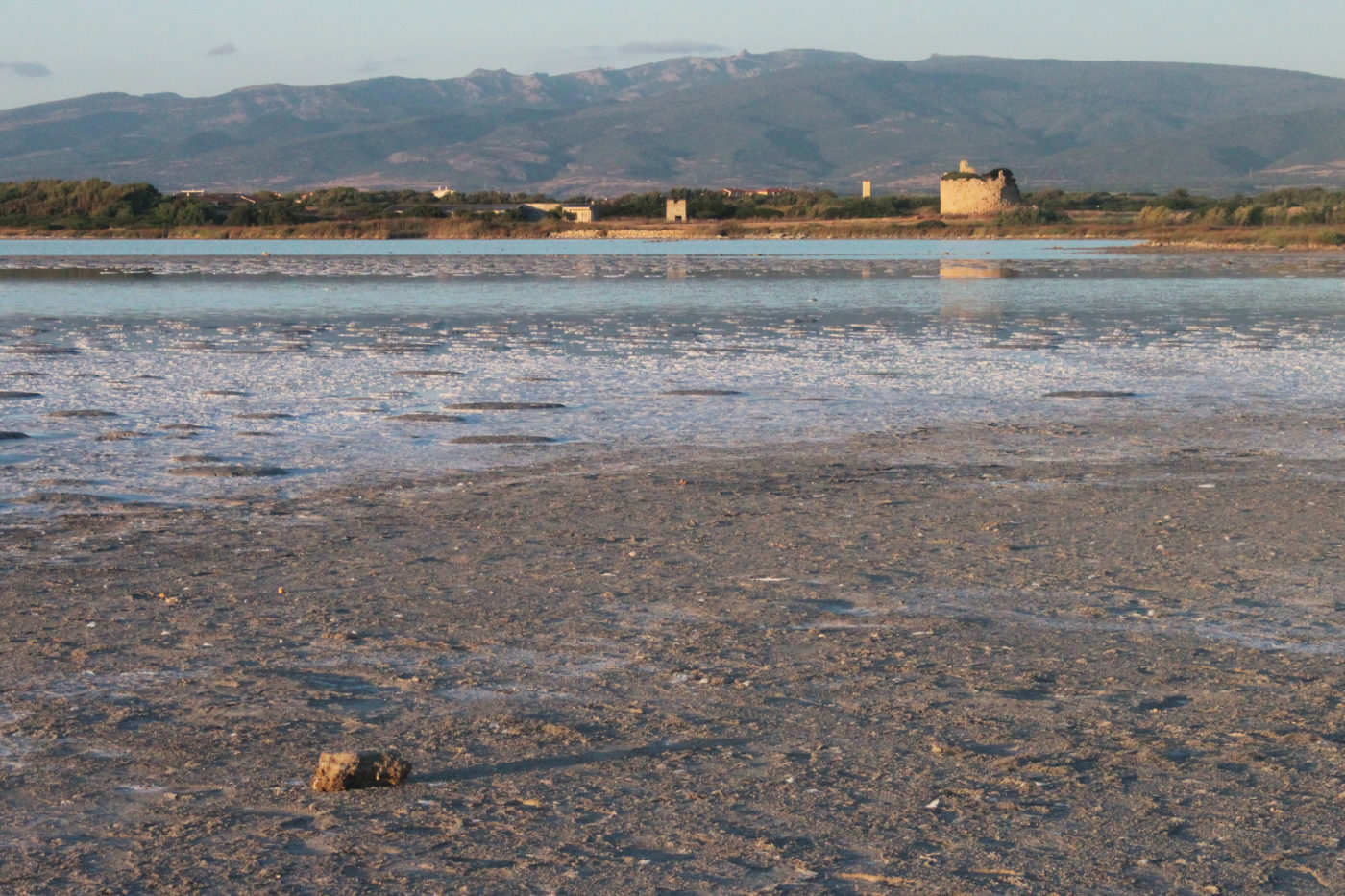 Sardegna Da Alghero ad Oristano stagno di sale e porcu