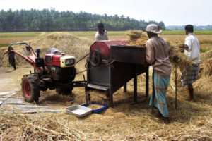 Sri Lanka coltivatori di riso