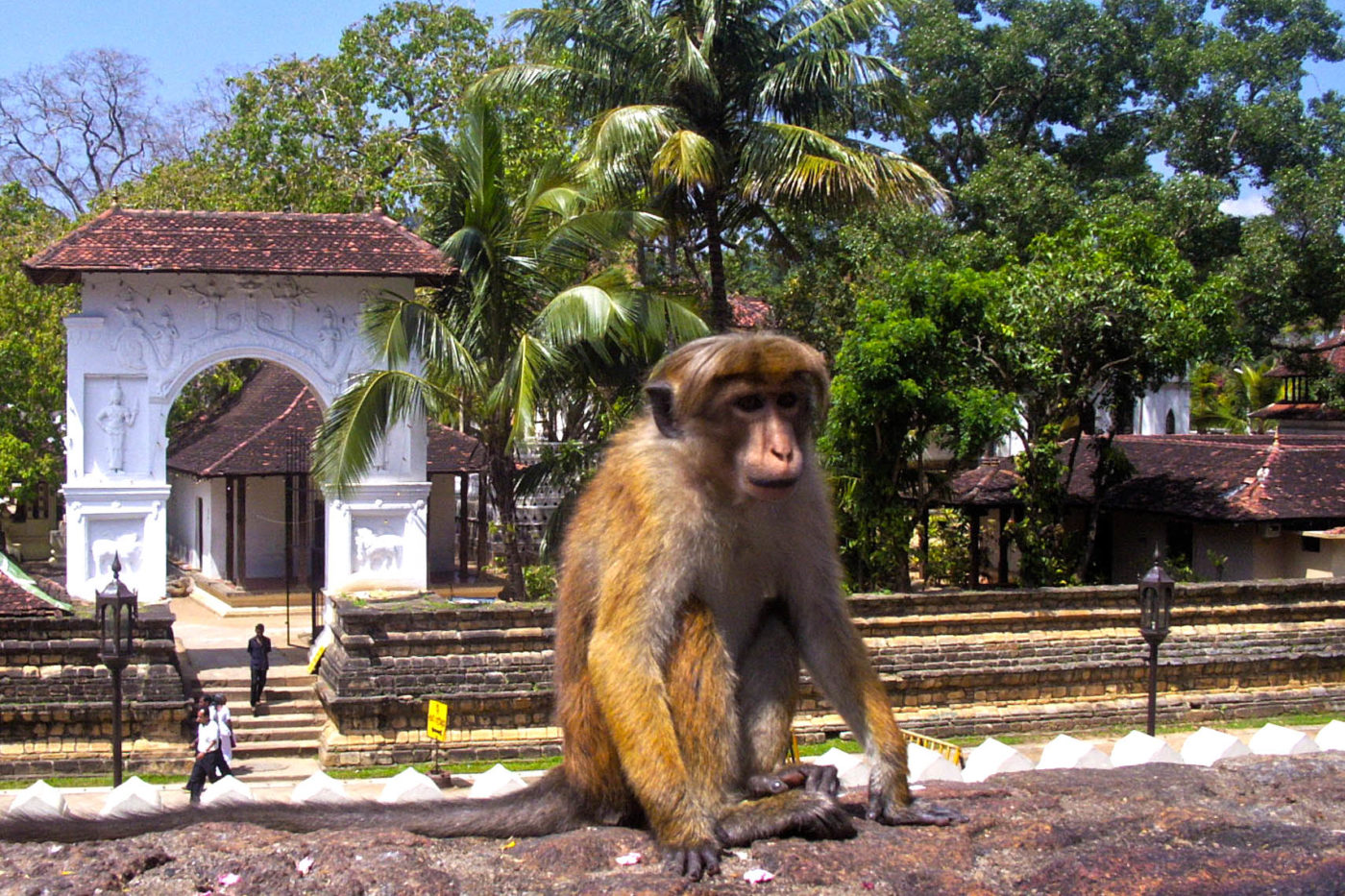 Sri Lanka Kandi