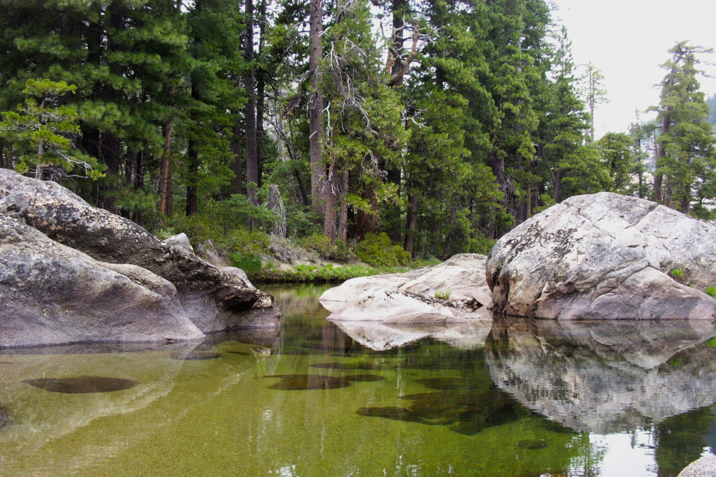 Fiume Granito Trekking Yosemite California