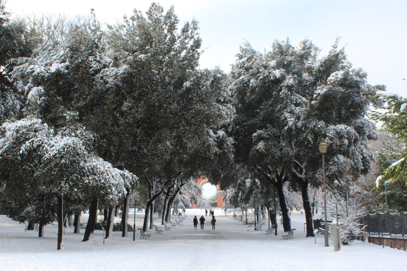 Villa Pamphili con la neve 2012
