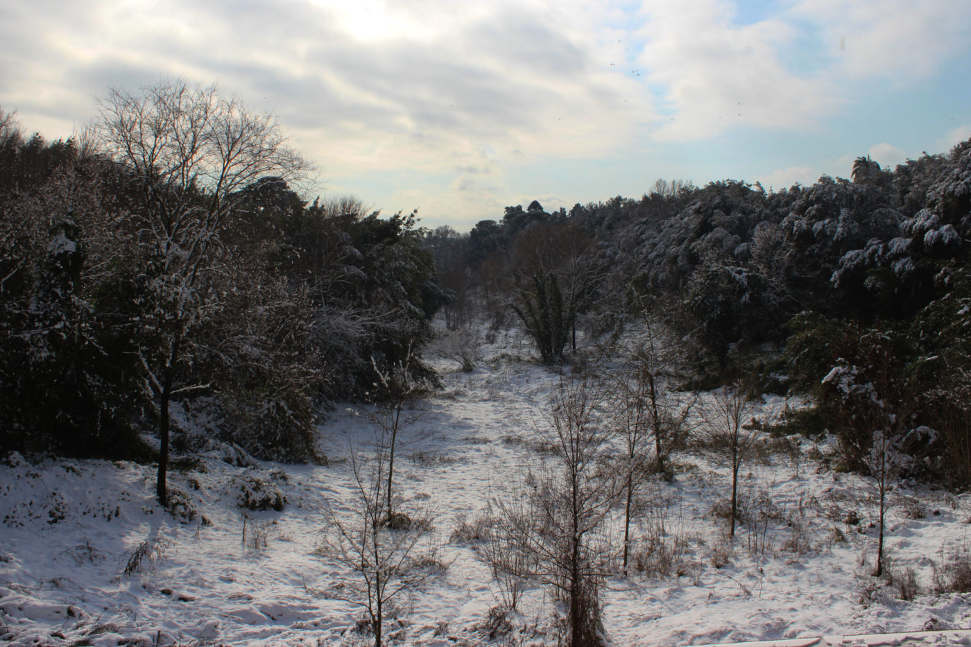 Villa Pamphili con la neve 2012