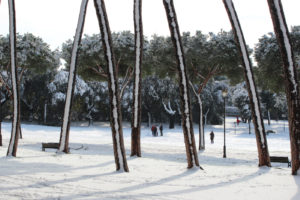 Villa Pamphili con la neve 2012