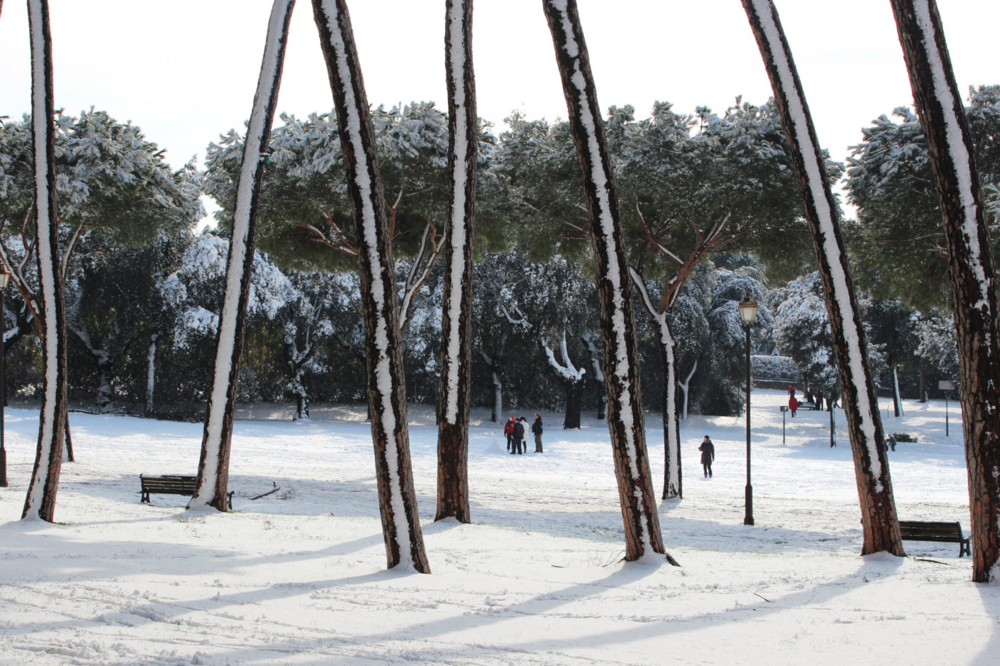 Villa Pamphili con la neve 2012