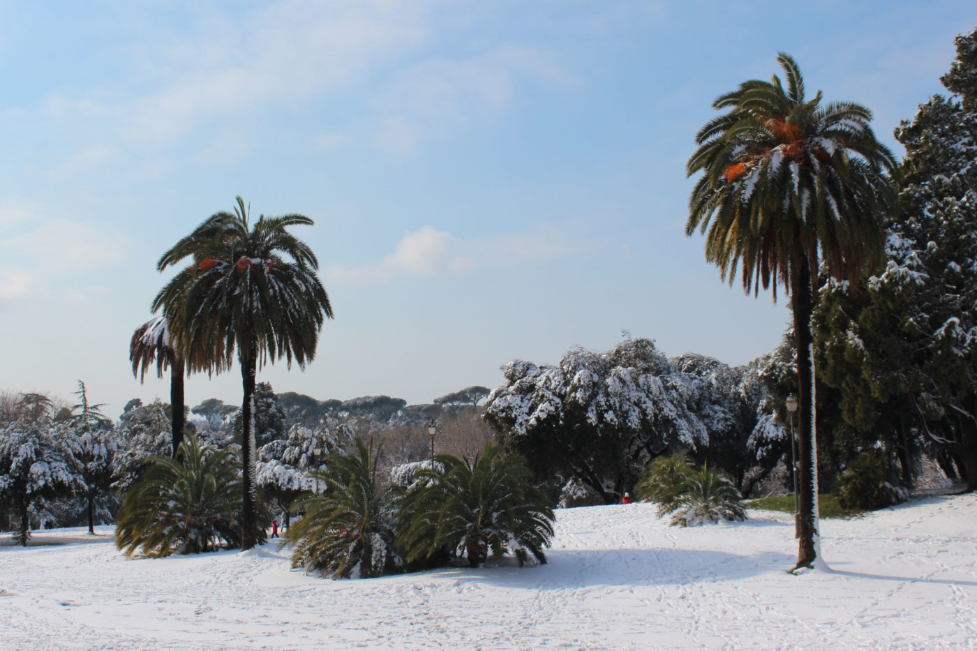 Villa Pamphili con la neve 2012