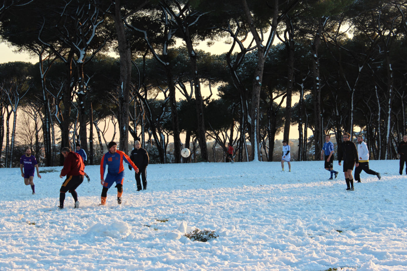 Villa Pamphili con la neve 2012