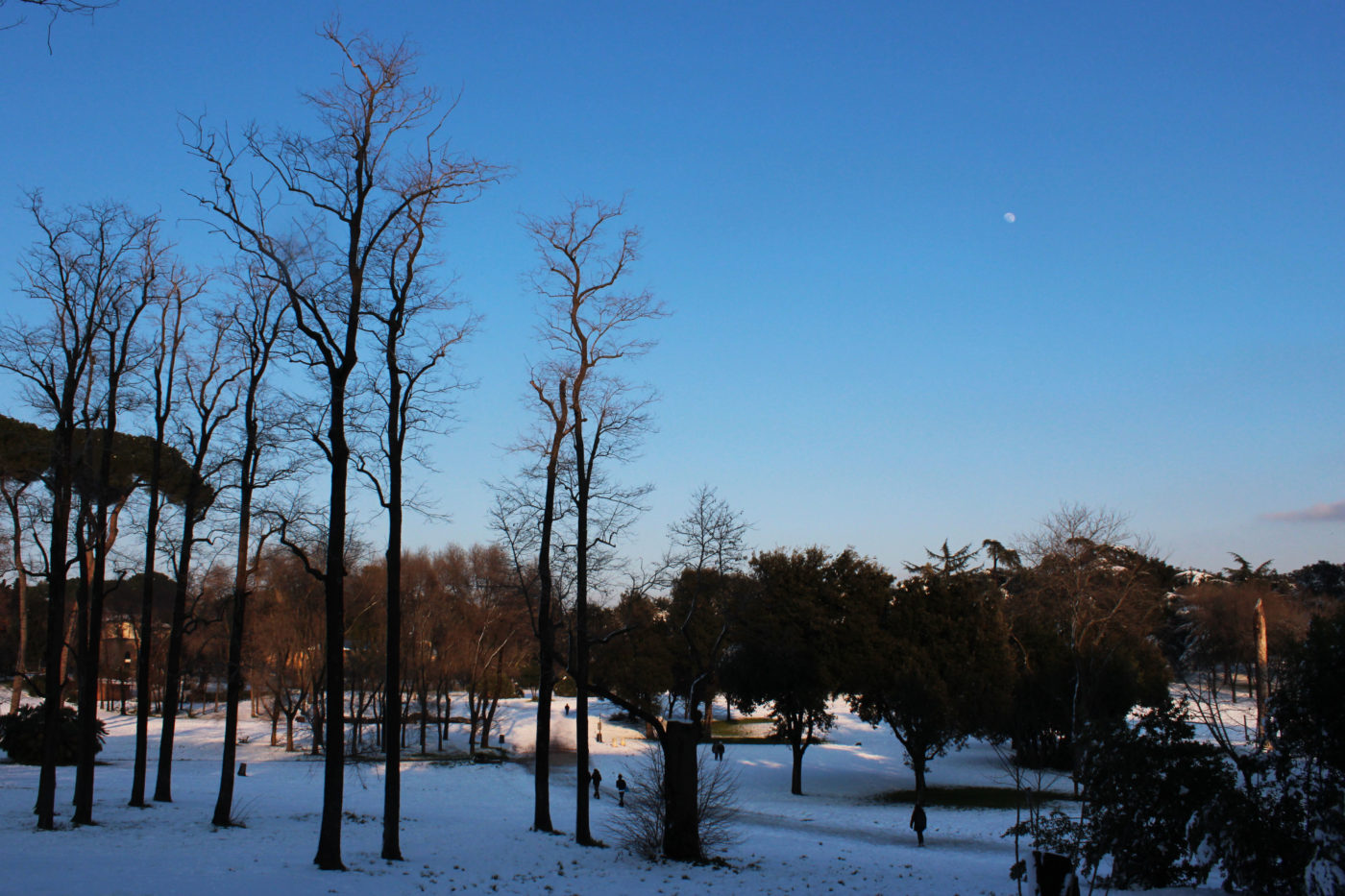 Villa Pamphili con la neve 2012